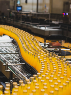 Food and Beverage industry